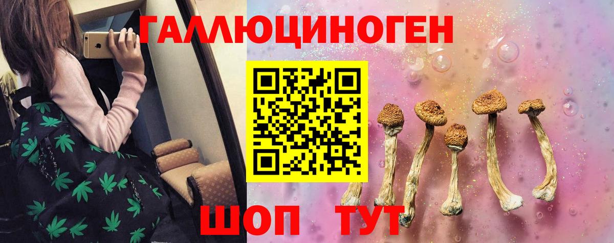 Галлюциногенные грибы Cubensis  Вход с VPN  Псилоцибиновые грибы MAGIC MUSHROOMS  Норильск 
